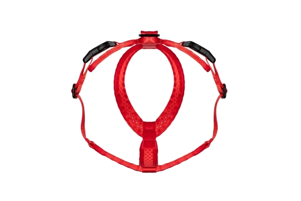 SOFTY Geschirr - Größe 7 - rot/rot